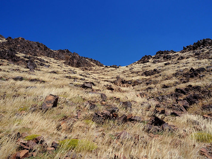Hill at Abu Na'am Station used by Lawrence of Arabia for attack during the First World War