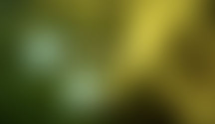 Breaking Bad. Isso tem tradução?