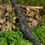 Thumbnail: Eclipse Camo Padded 12ft 6 / 13ft Single Rod Sleeve
