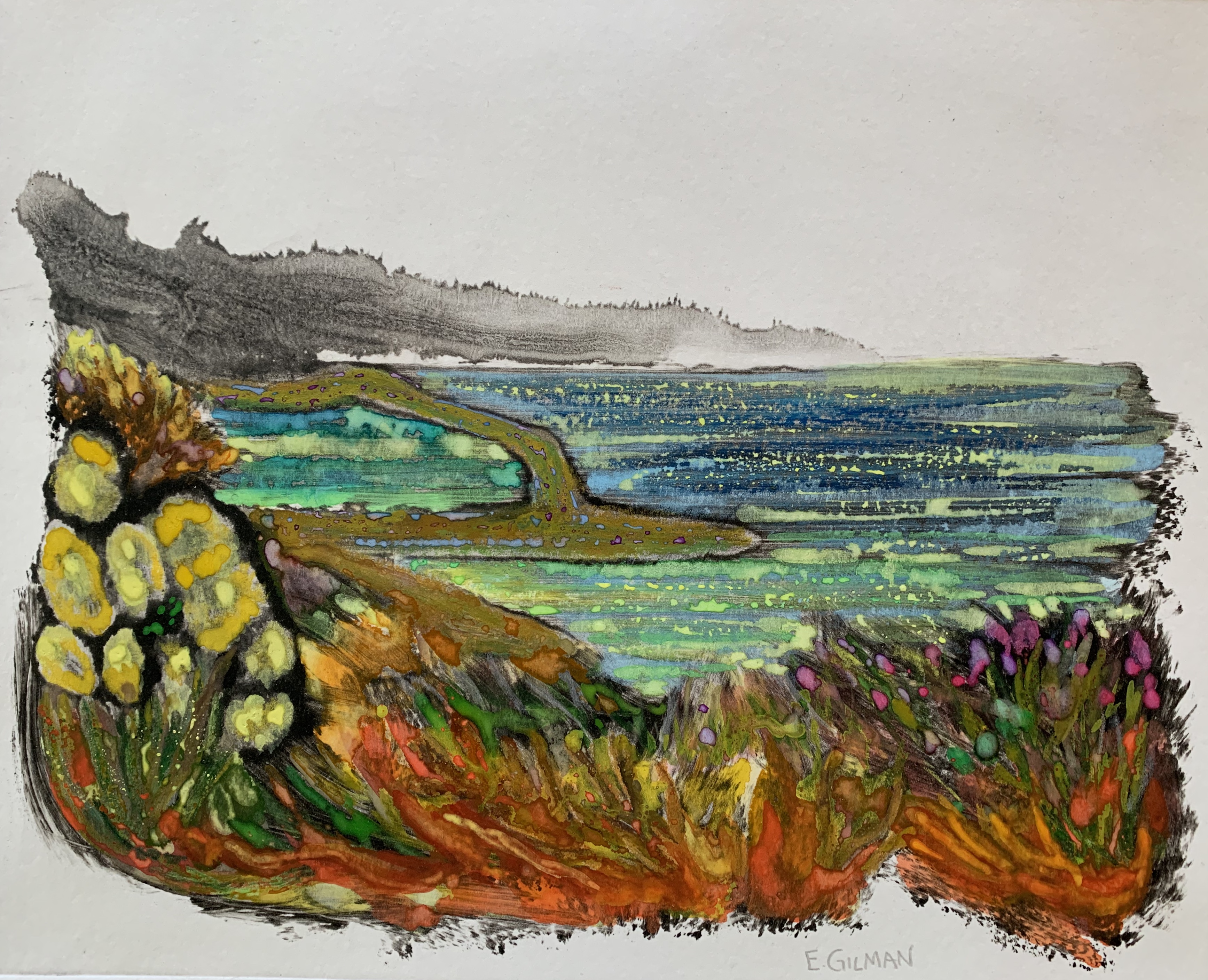 Orange Coast