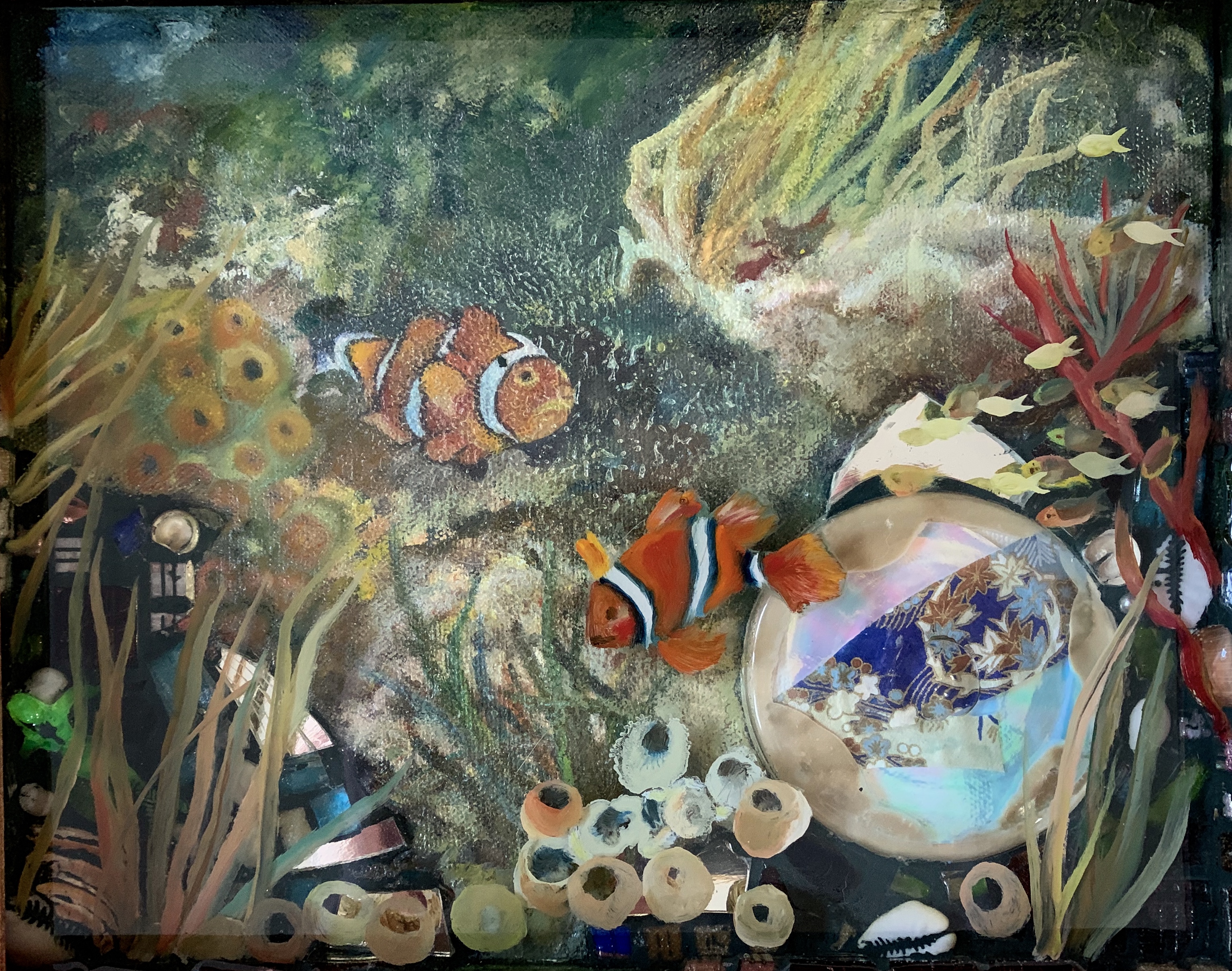 Clown Fish