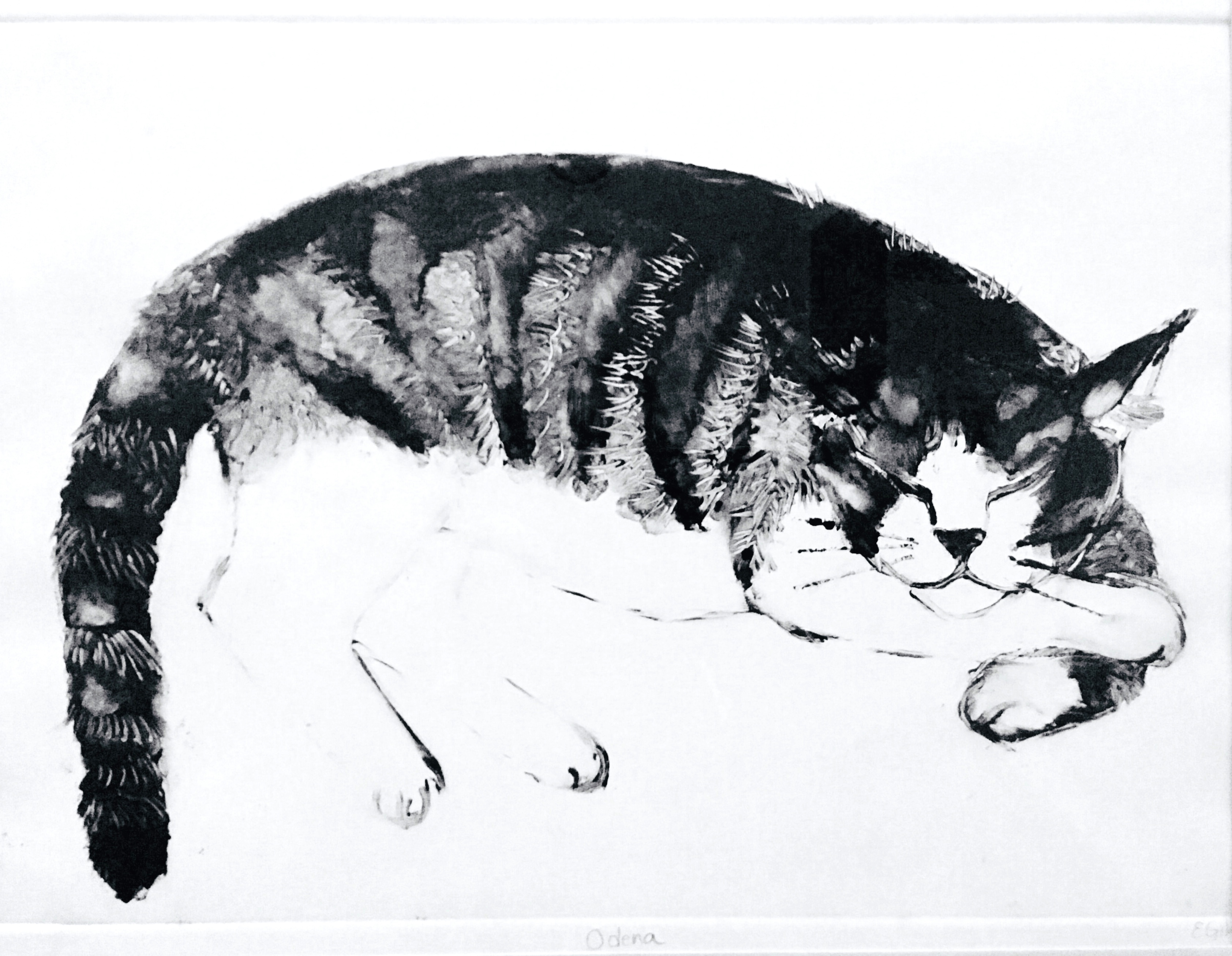 Sleeping Cat