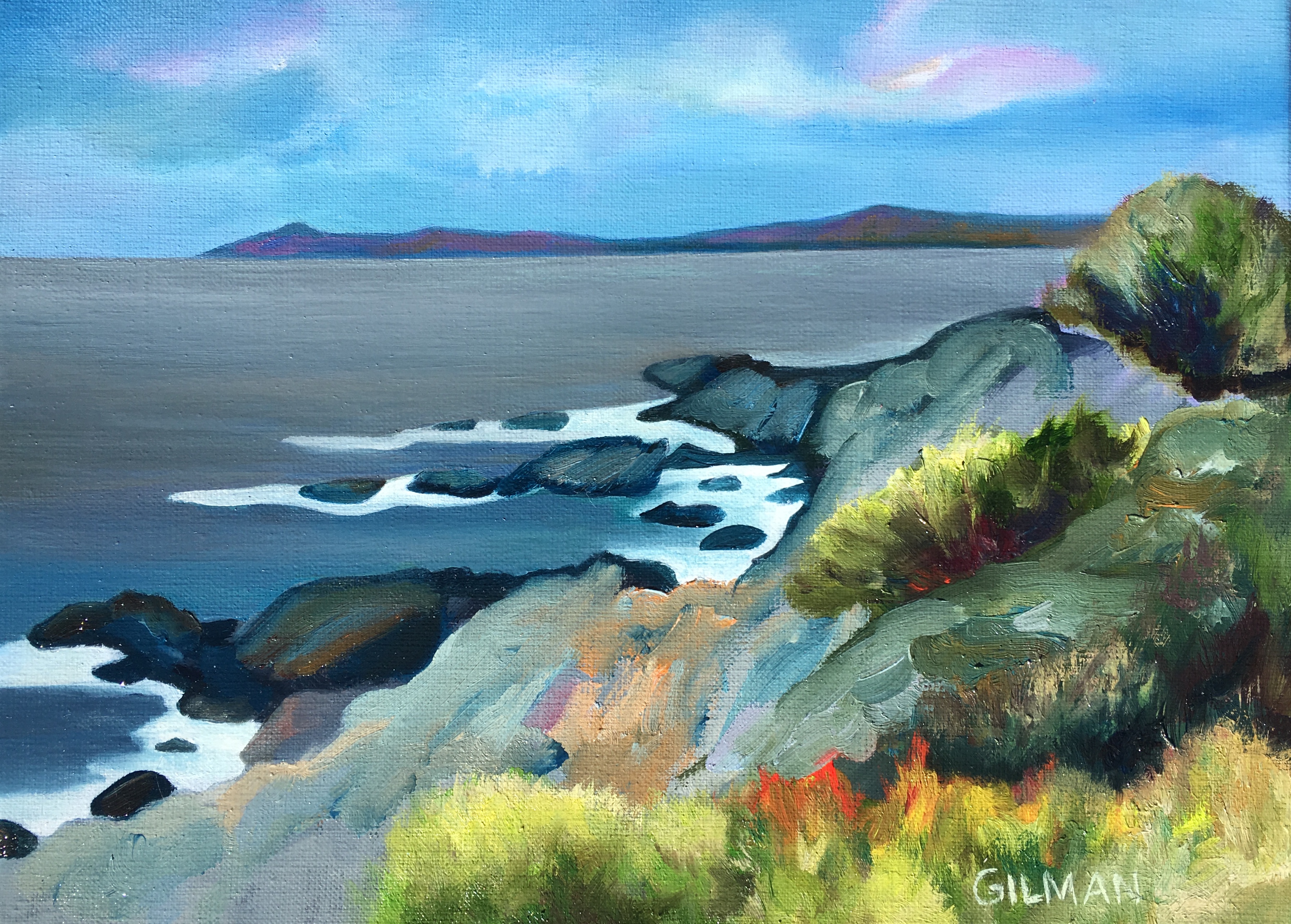 Winslow's View