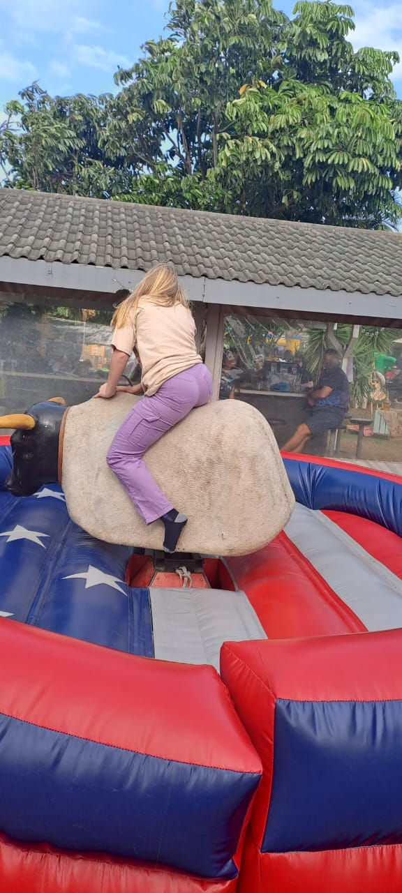 Thumbnail: item 38 - Mechanical Bull for hire