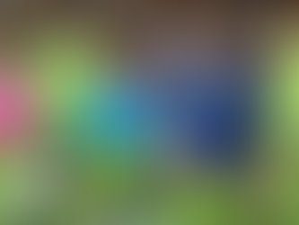 Matildas vs AFC: 2026 Asian Cup Equal Pay Dispute & Betting Odds