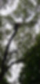 received_248999379693852.jpeg