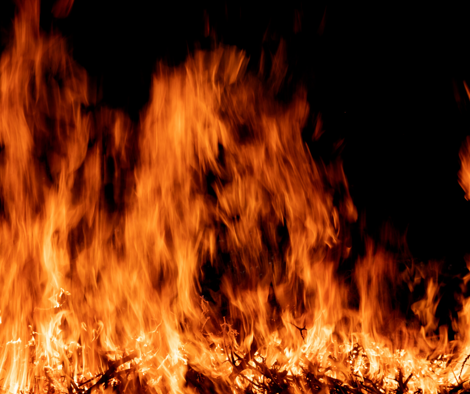 cbd oil for burns