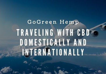 CBD tincture bottle in a clear TSA-compliant travel bag on a desk before a flight