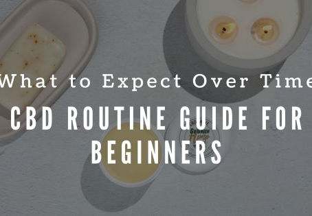 Understanding Your CBD Routine: A Guide for Beginners