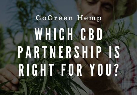 CBD Partnership Programs: A Comparison Guide to Wholesale, Affiliate, and Private Label