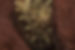 467850361_10162549781896654_5788037554558208051_n.jpg
