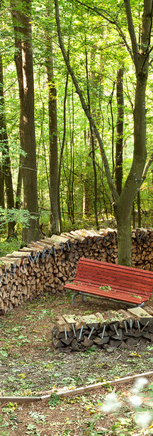 figura 33. Landscape Therapeutic Park.jpeg