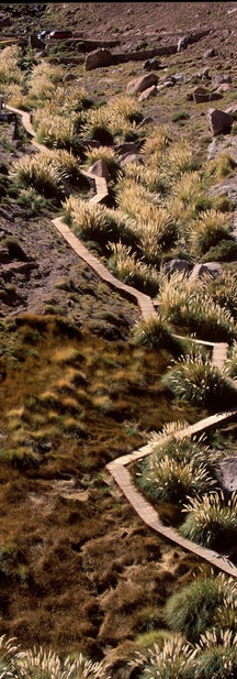 figura 31. Termas de puritama .jpeg