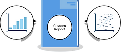 reporting (website).png