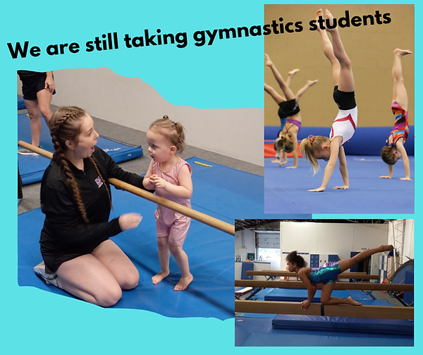 we are still taking gymnastics students.png