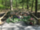 IMG_4622.jpeg