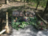 IMG_4624.jpeg