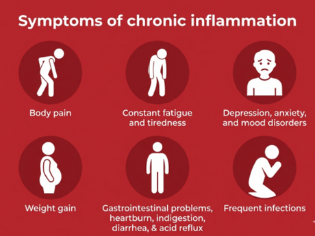 Does Alcohol Cause Inflammation? Understanding the Health Effects