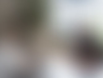 Most Common Substance Use Disorders: Signs, Causes, and Support Options