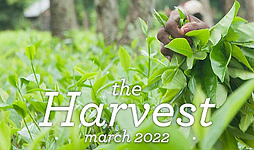e-blast banner march 2022.jpg