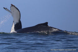 20191125 West Coast IMG_0243 Awesome (SD