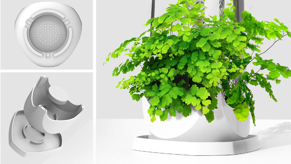 Fernny Self-Watering Planter 懶人免澆水花盆