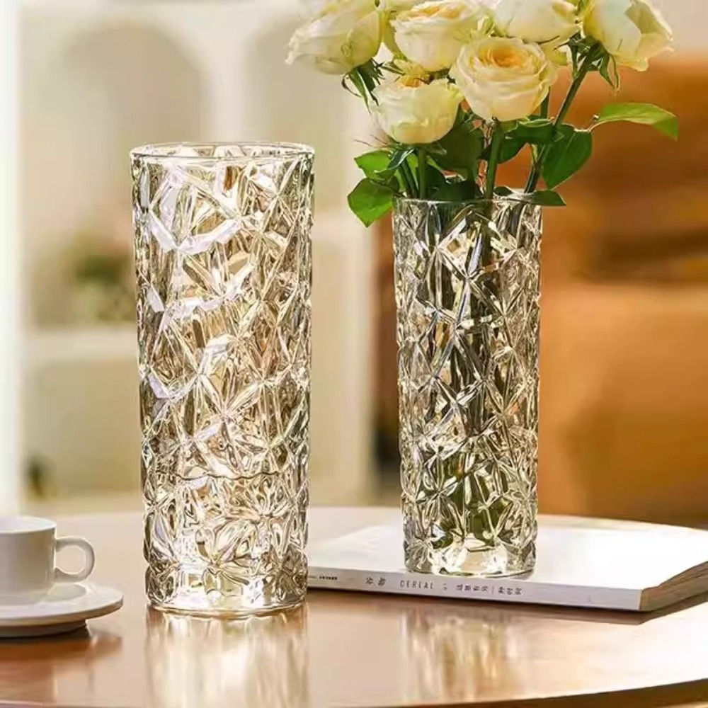 Light Luxury Glacier Pattern Glass Vase Transparent Creative Hydroponic Vase Hom