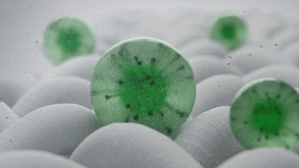 제목 없는 비디오 (2).gif