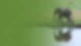 TAT Stock Images (51).png