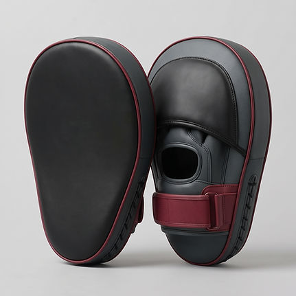 Custom focus mitt pair for boxing and combat sports training