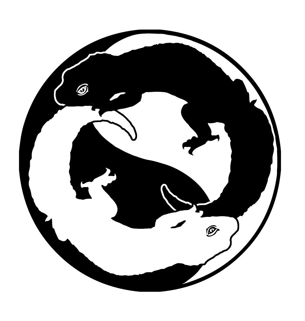 Logo geckos