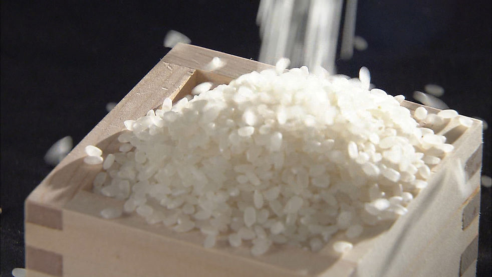 シーケンス 06.00_06_34_00.Still001.jpg