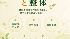自然治癒力を高める整体とは?カイロプラクティックで回復しやすい身体を目指す
