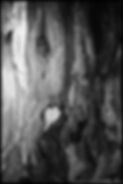 Fine Art © SARA BUBNA photography