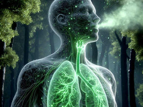 YogaSeve - Un souffle à la fois… La respiration devient un chemin vers soi