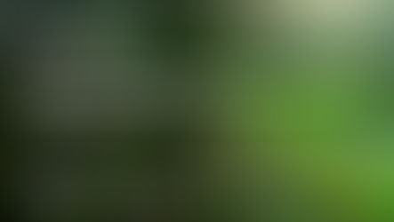 Radix and Celanese Partnership Leverages AI to Harness the Power of Industrial Data