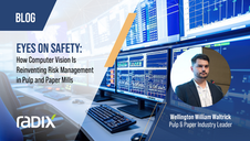 EYES ON SAFETY: HOW COMPUTER VISION IS REINVENTING RISK MANAGEMENT IN PULP AND PAPER MILLS 