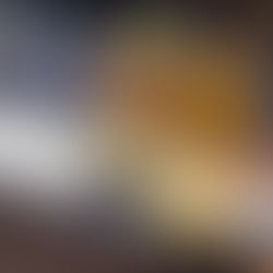 El Catrin Destilera Mexican Restaurant