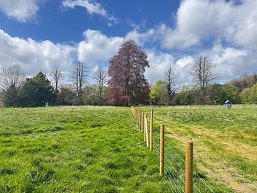 WhatsApp Image 2026-04-17 at 12.58.37.jpeg