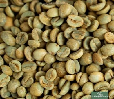 Export of green coffee from Madagascar