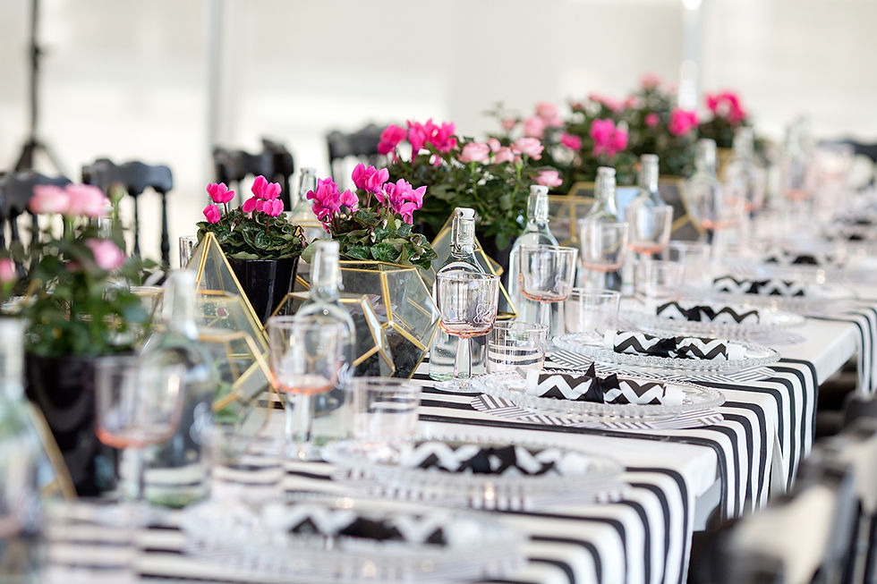 Mercedes Ladies Lunch