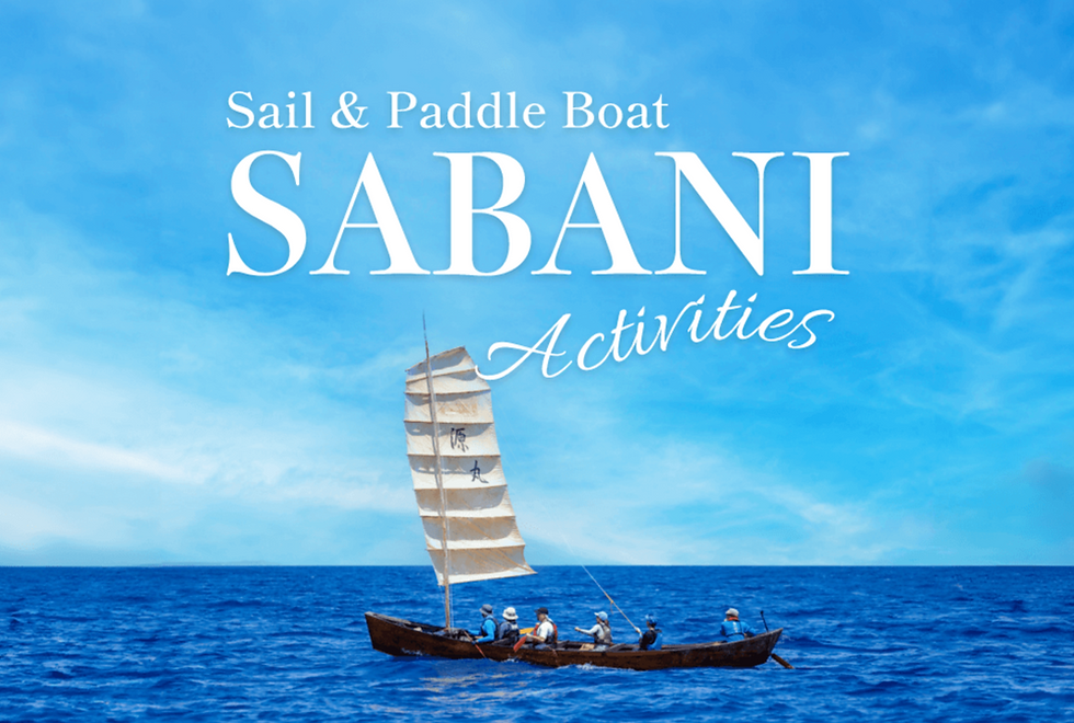 Fukaki Sabani Activity .png