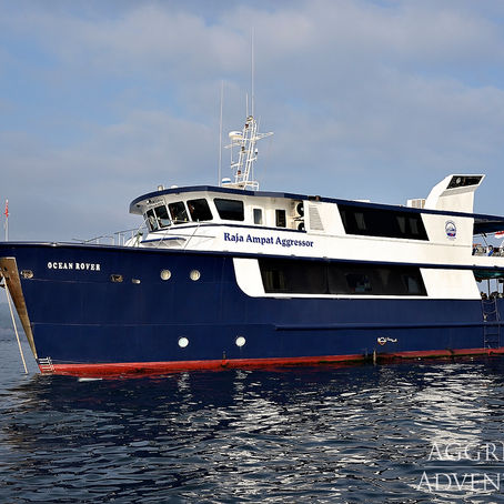 印尼船宿潛水/Raja Ampat Aggressor