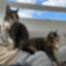 Thumbnail: Lola & Marge