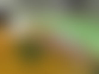 梅奥诊所城市市长亲临上海,携 DMC 50 亿美元投资项目闭门分享!