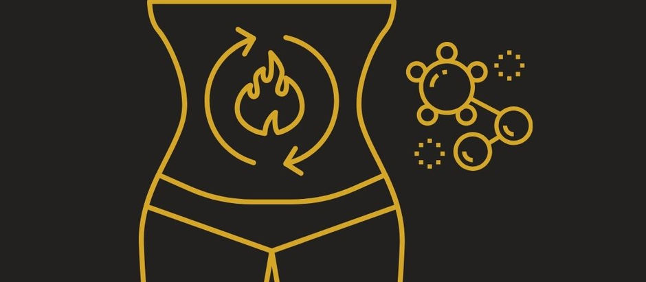 Importancia del Equilibrio Hormonal en la Recomposición Corporal