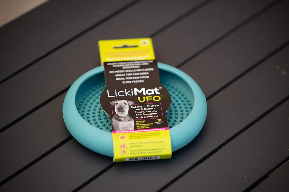 Thumbnail: LickiMat UFO