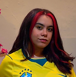 Stefs-Teixeira.png
