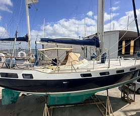 Wauquiez Amphitrite 43