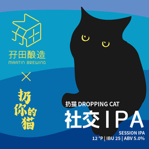 droppingcat.jpeg